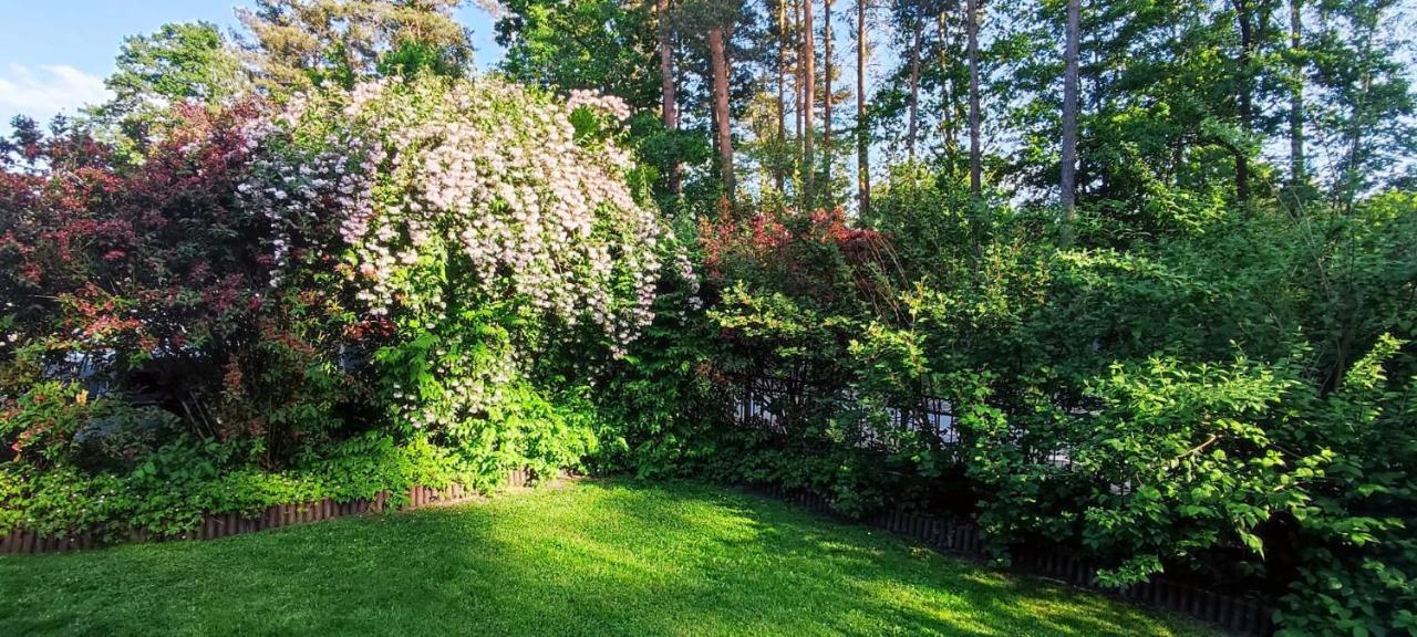 Apartamento Waldidylle Küsten Exterior foto